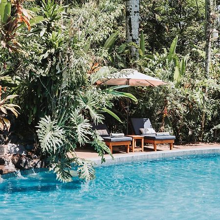 Overo Lodge & Selva Puerto Iguazú Eksteriør billede